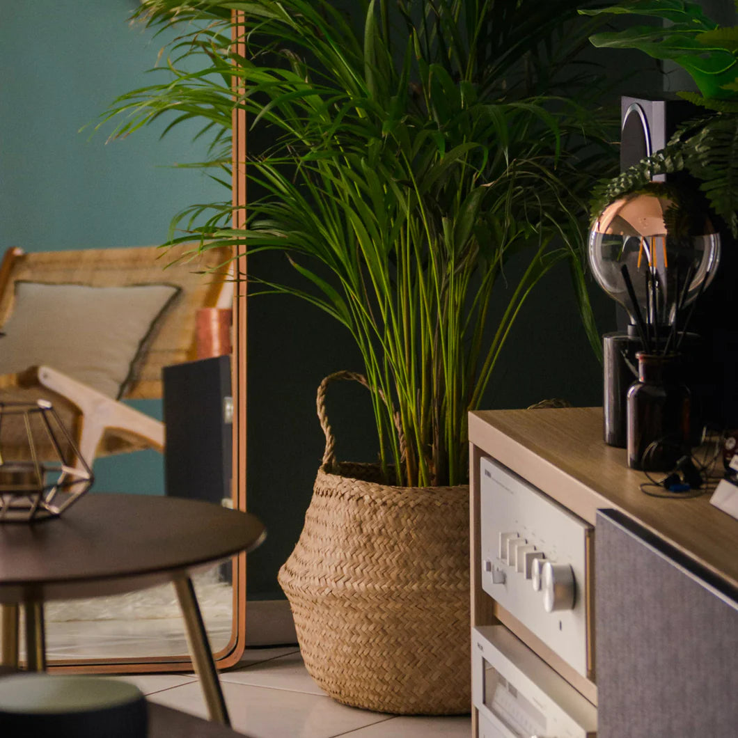An Inviting Dining Room to Welcome Guests – Divine Decor Furniture