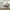 Antonella Upholstered Panel Bed