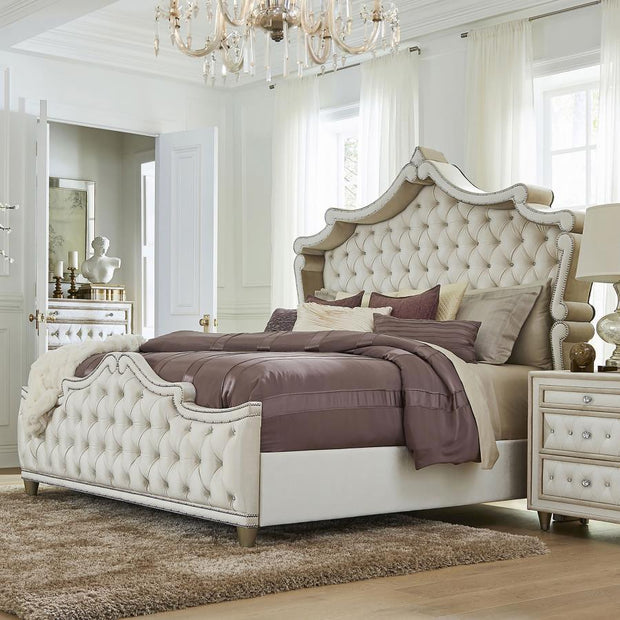 Antonella Upholstered Panel Bed