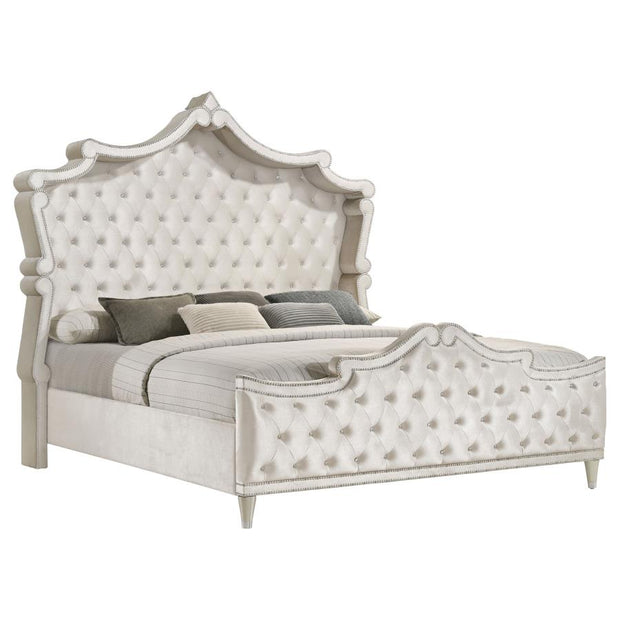Antonella Upholstered Panel Bed