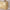 A-C09 Helios Gold Leaf Console