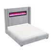 2411 Fitzroy Bed