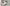 1429 Ever Champagne Bedroom Set
