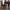 2325 PAIGE BROWN DINING SET