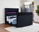 Tisdall Visualizer Bed