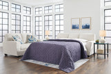 Ashley 4060539 Queen Sofa Sleeper