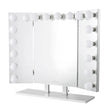 Trifecta Pro Vanity Mirror