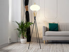 6293F FLOOR LAMP