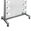 Hollywood Premiere Full-Length Vanity Mirror