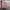 ZOHAR PINK BEDROOM SET