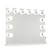 Hollywood Premiere Slim Plus Vanity Mirror