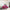 Lips Velvet Loveseat 81