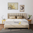 Doozy Memory Foam