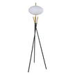 6293F FLOOR LAMP