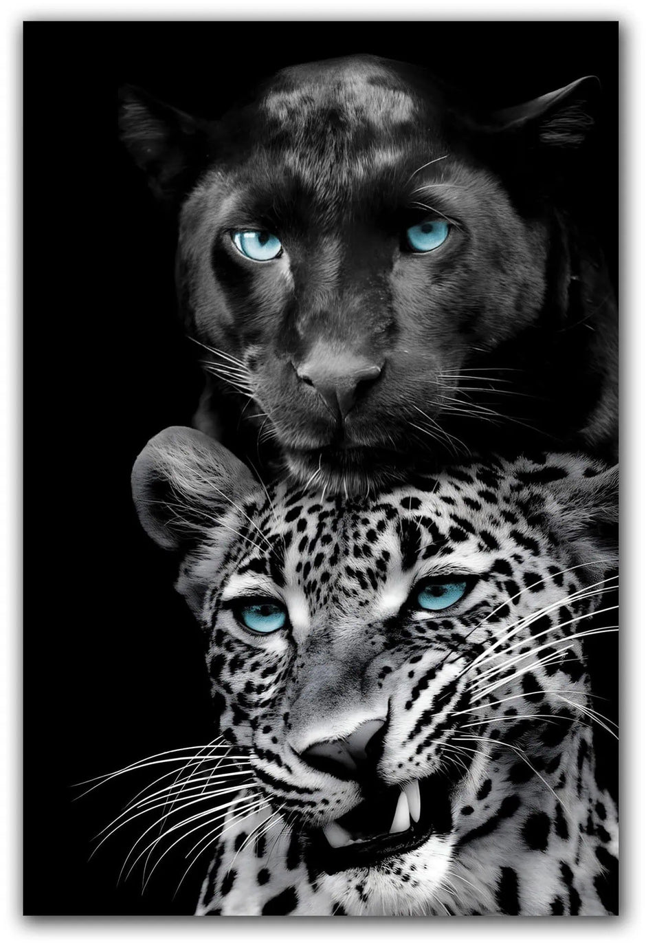 ”Big Cats Play Too” Tempered Glass