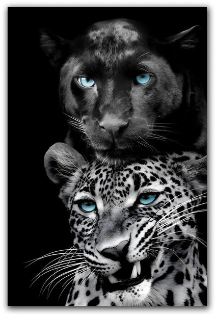 ”Big Cats Play Too” Tempered Glass