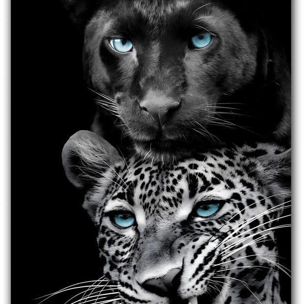 ”Big Cats Play Too” Tempered Glass