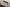 1714 Laurelin Bedroom Set