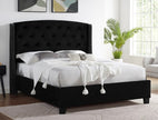 5111 CAMA TODO EVA NEGRO