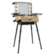 SlayCase Pro Vanity Travel Train Case with Stand in Champagne
