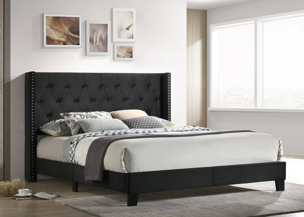 HH775 Plataforma Cama Negra